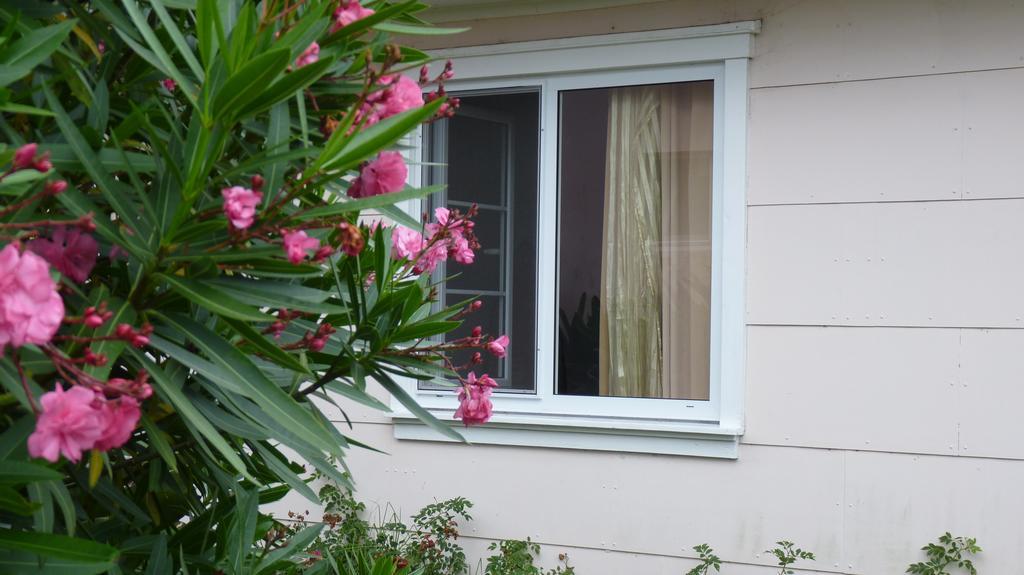 Azores Garden House - Private Suites & Apartments - Automatic Self Check-In ปอนตาเดลกาดา ภายนอก รูปภาพ