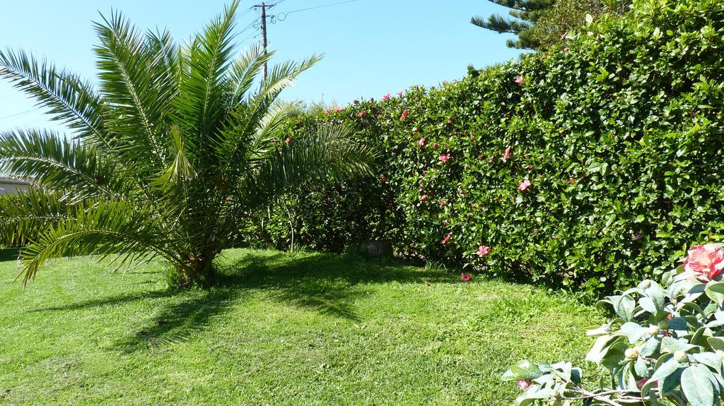 Azores Garden House - Private Suites & Apartments - Automatic Self Check-In ปอนตาเดลกาดา ภายนอก รูปภาพ